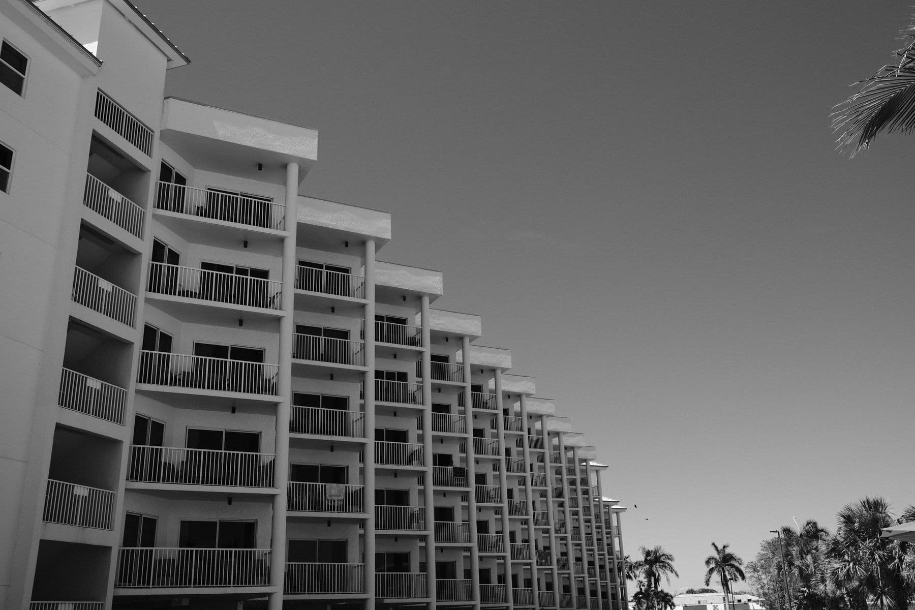A black and white view of stepped apartment balconies, with palm trees at the edge.