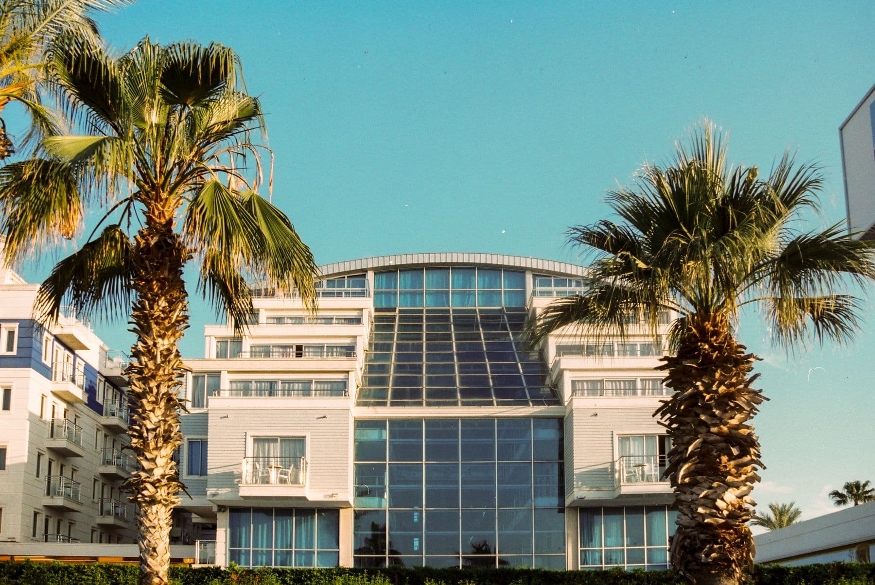 A white hotel with a glass center section and balconies, framed by two palm trees.